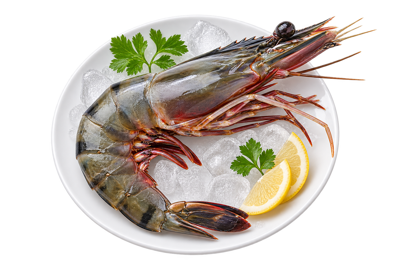 Highland Seafood