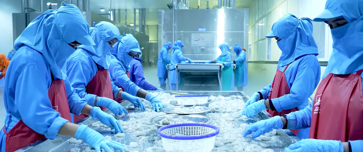 Shrimp processing conveyor