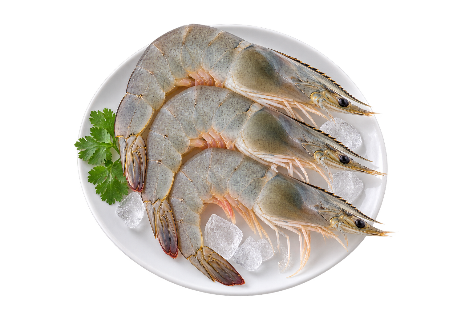 Highland Premium Shrimp